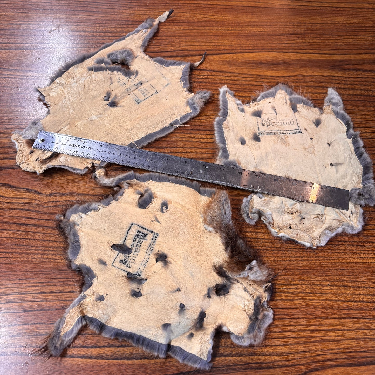 Muskrat Furs 3rd Quality