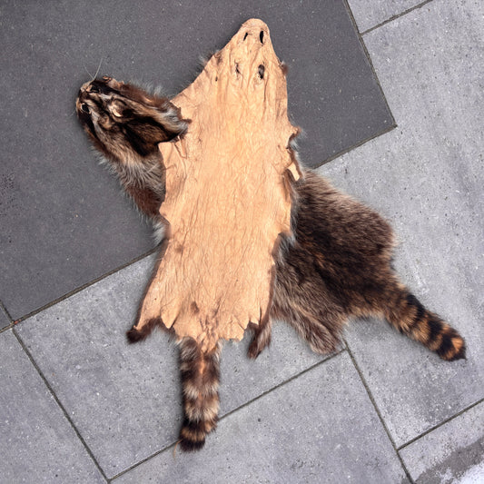 Raccoon Fur Pelt