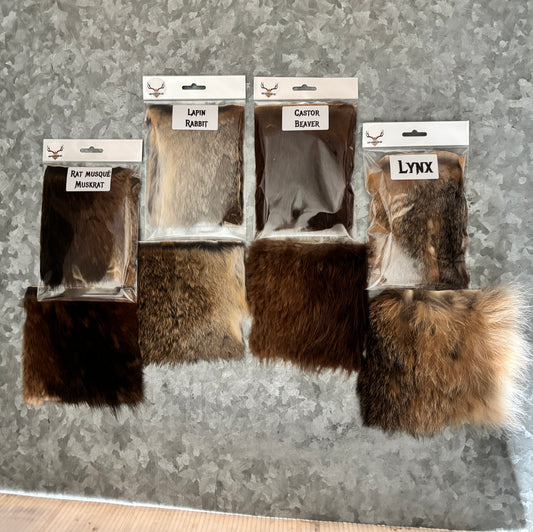 Educational Kit - Small - 4 animals