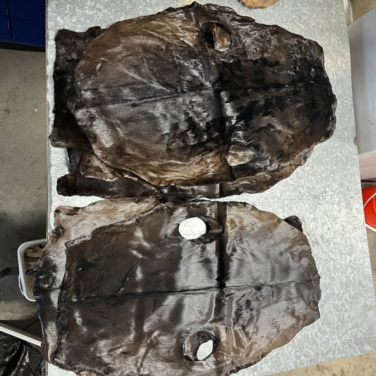 Dark Brown Seal Skins