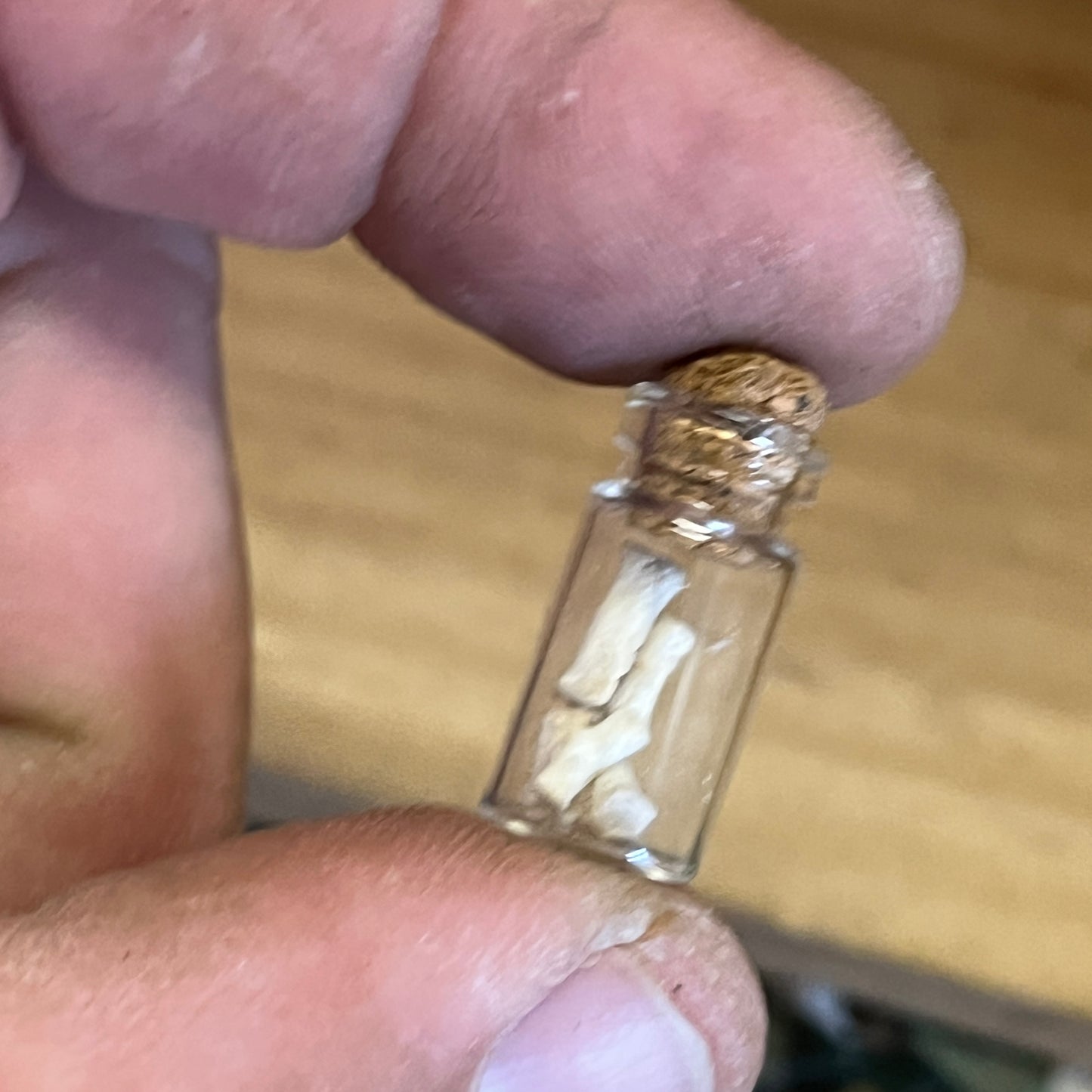 Small Bottle of Wild Boar Bone
