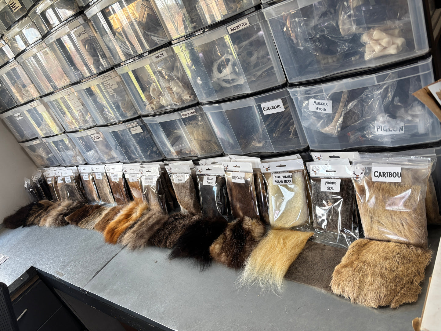 Educational Kit - Individual samples