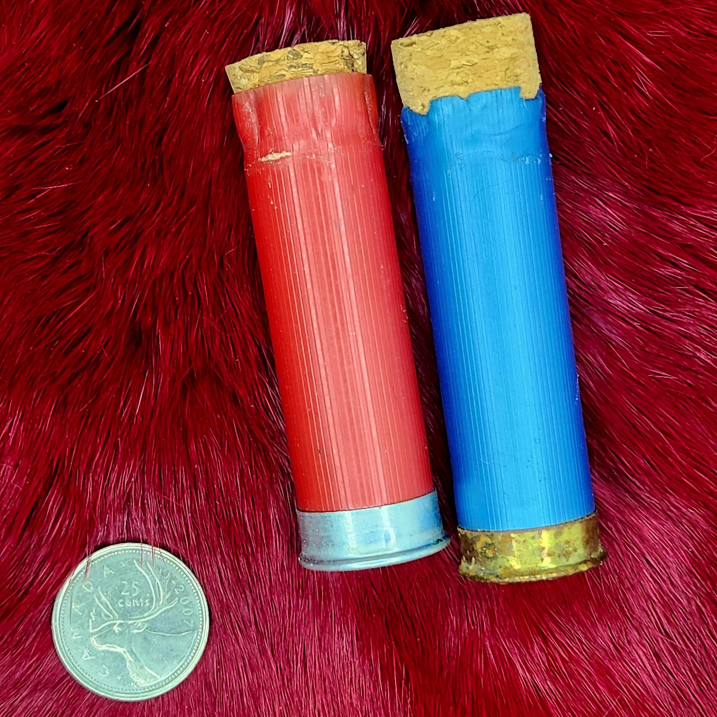 Bone and Shell Vials