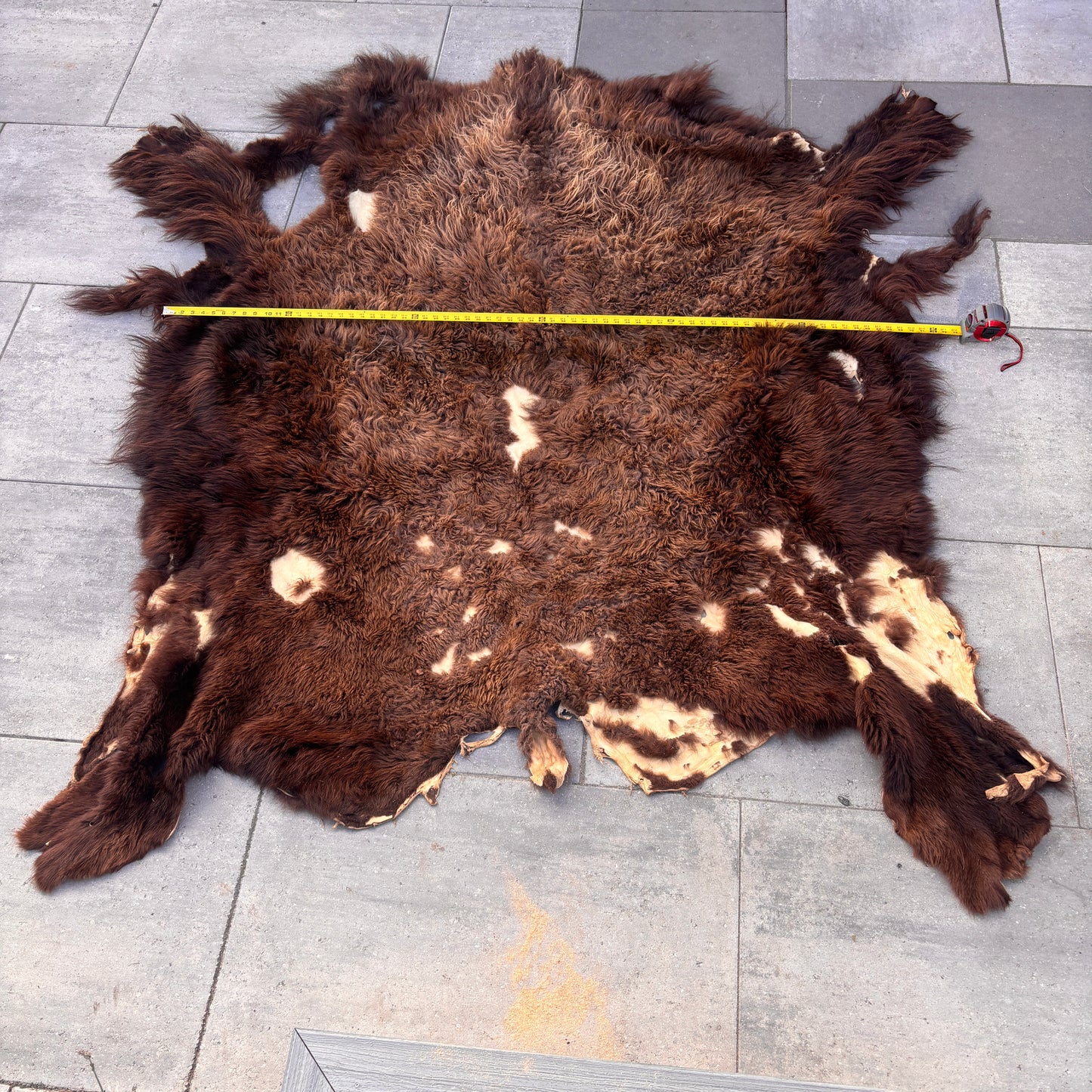 Bison Pelt