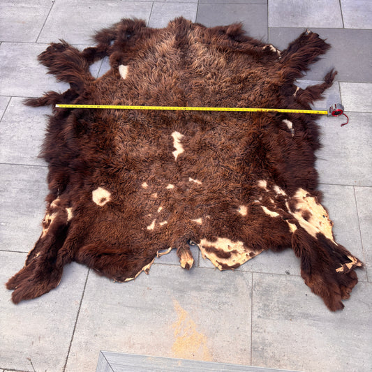 Bison Pelt
