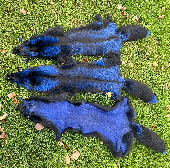 Dyed Silver Fox Pelt - Special order only