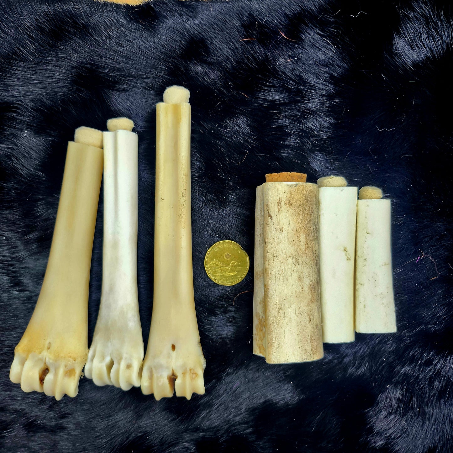 Bone and Shell Vials