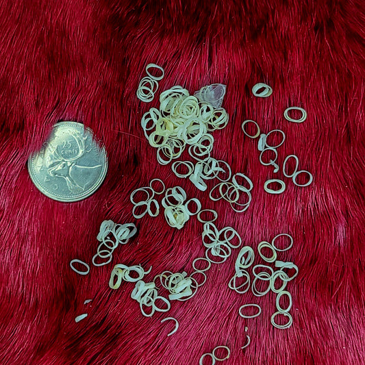 Crow Bones - Trachea Rings