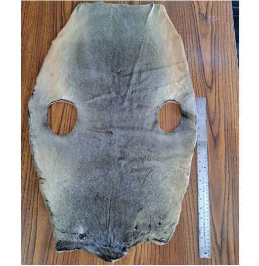 Fur seal skin