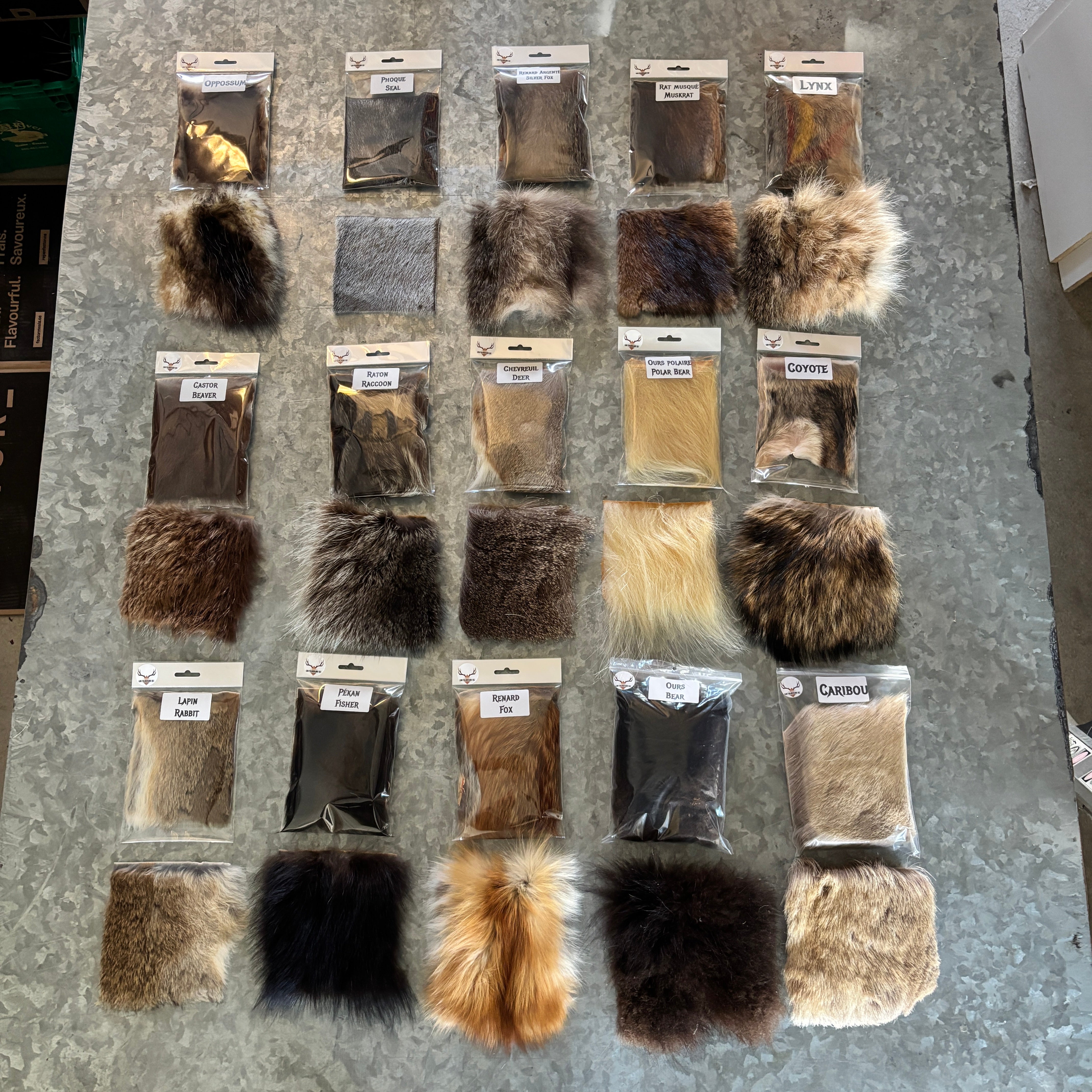 Educational Kit - Large - 15 animals – Medieval Fur