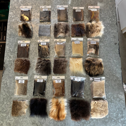 Educational Kit - Large - 15 animals