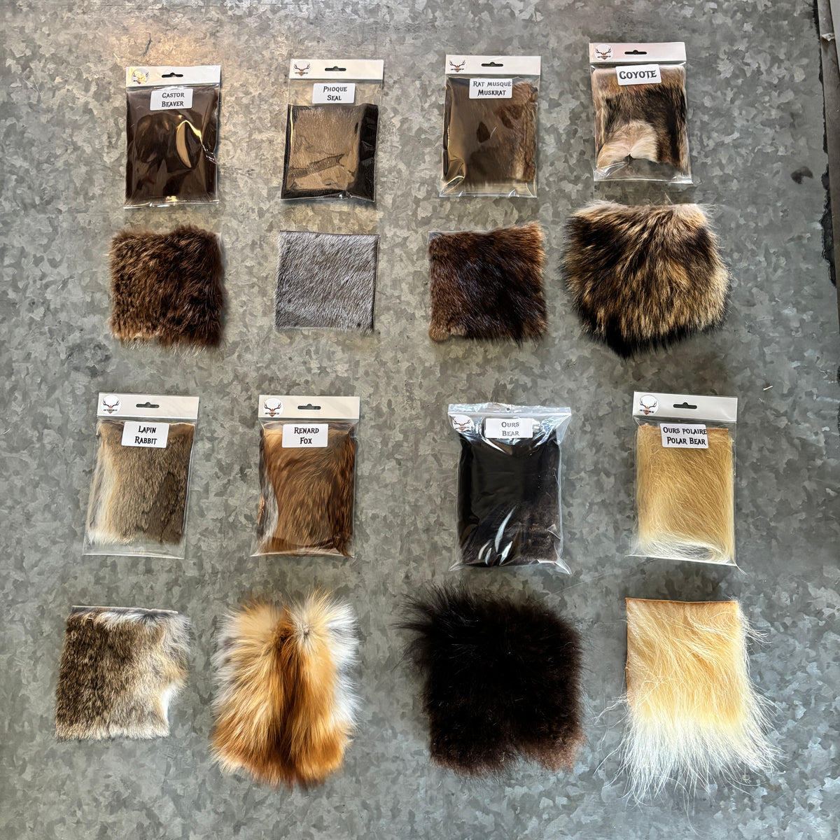 Educational Kit - Medium - 8 animals – Medieval Fur