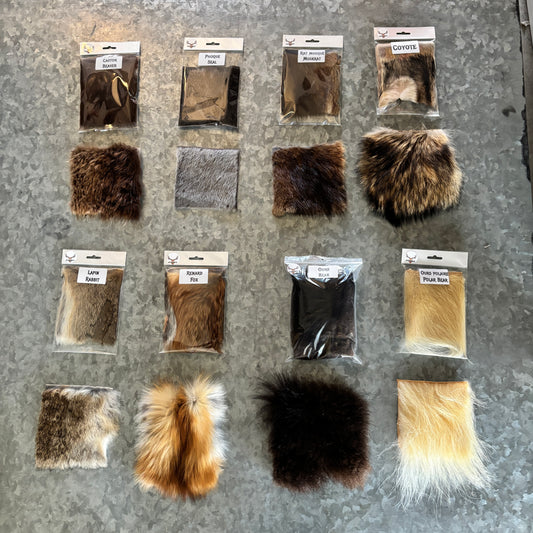 Educational Kit - Medium - 8 animals