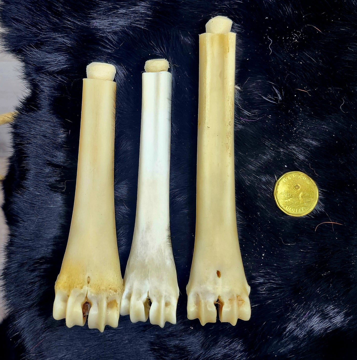 Bone and Shell Vials
