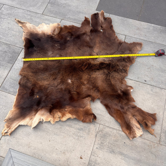 Moose pelt