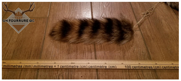 Raccoon Fur Tails