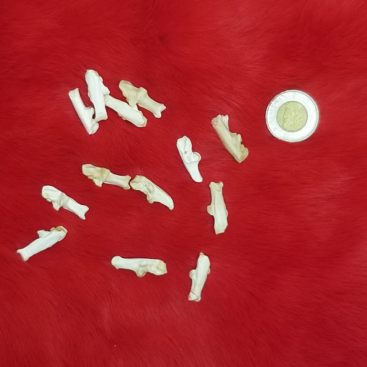 Rabbit Bones - Various