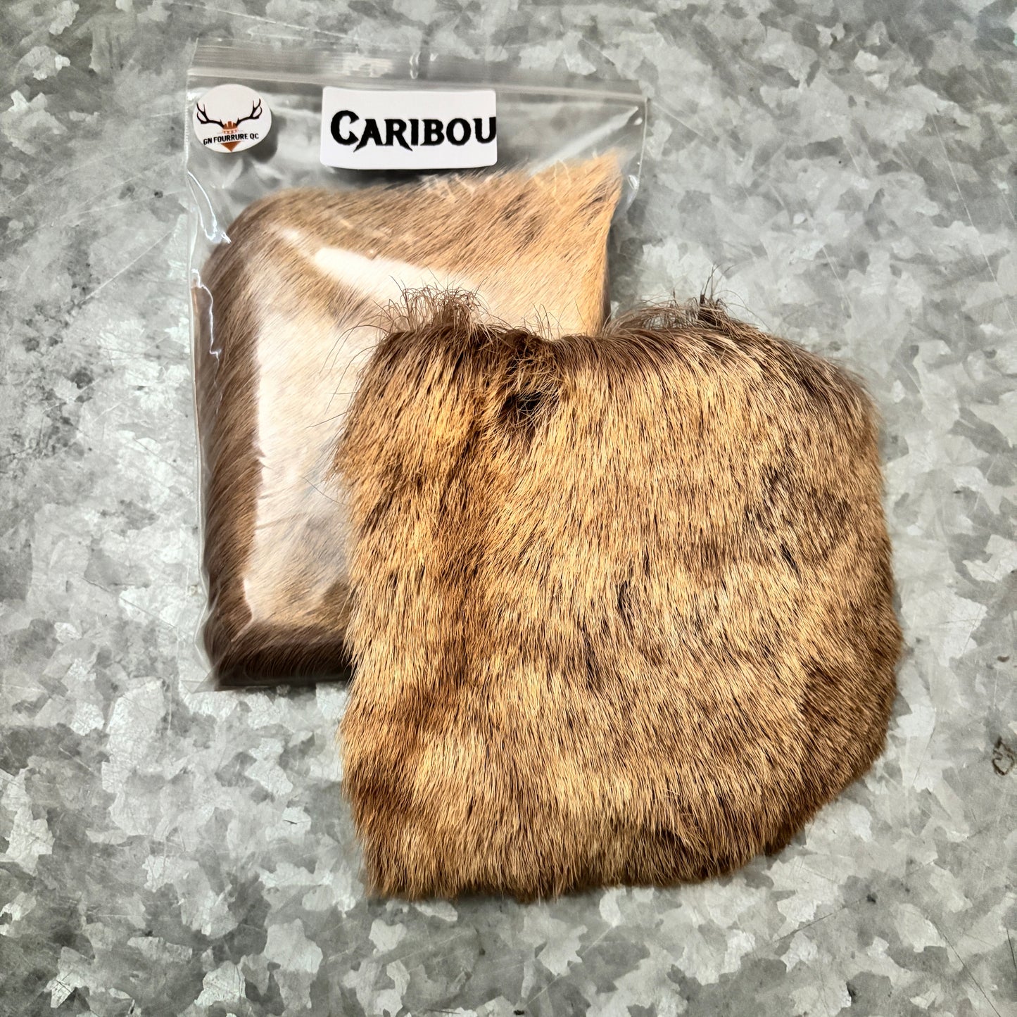 Educational Kit - Individual samples