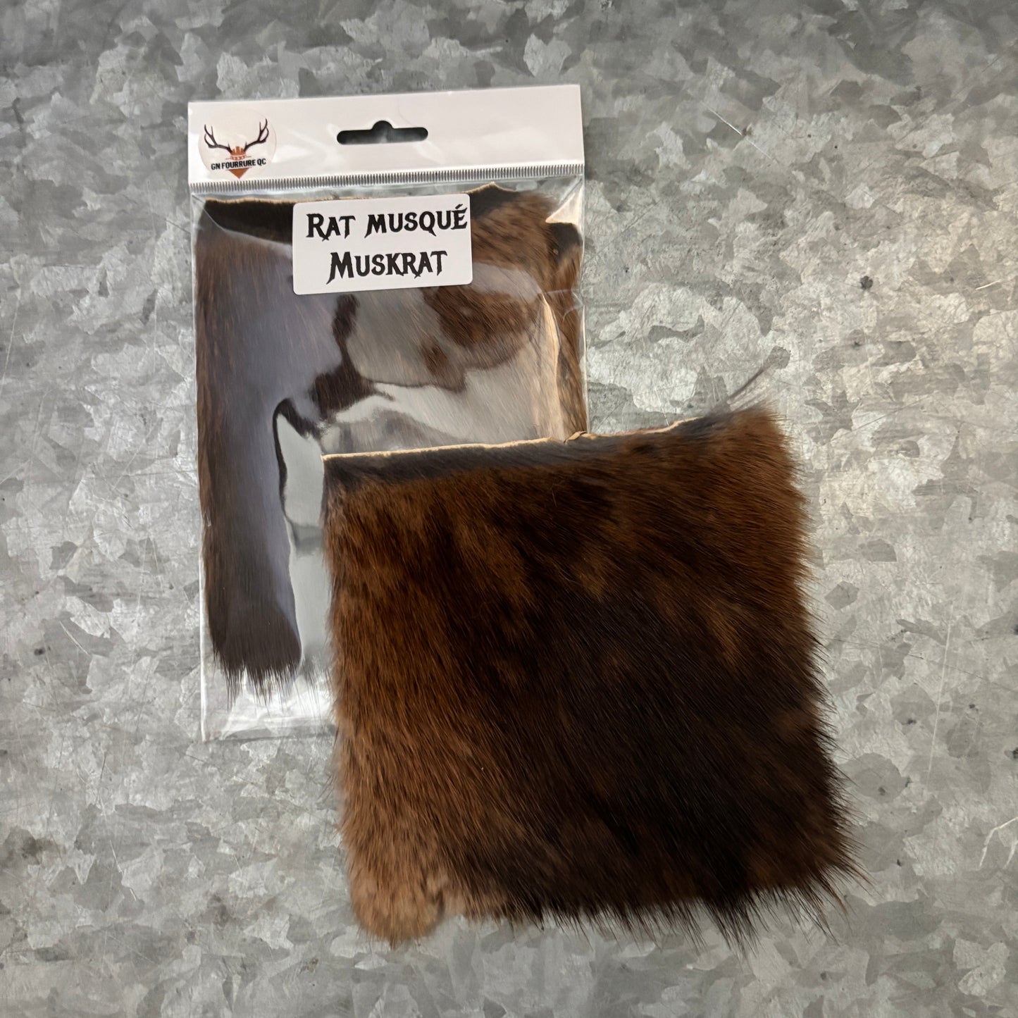 Educational Kit - Individual samples