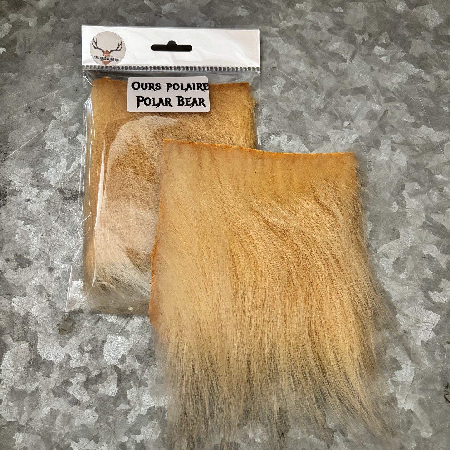 Educational Kit - Individual samples