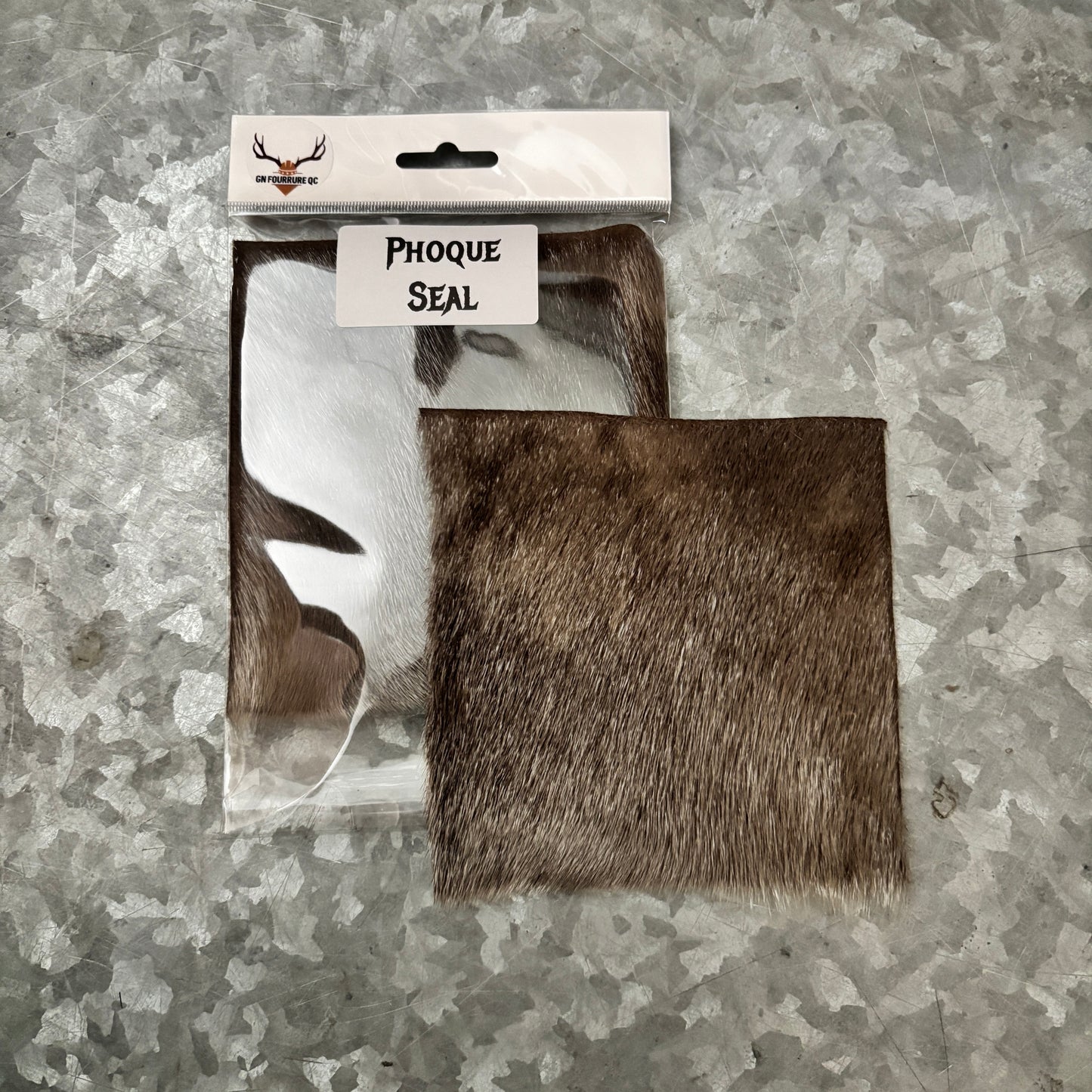 Educational Kit - Individual samples