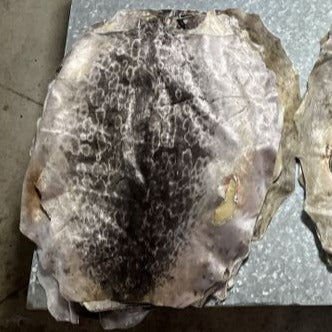 Ring Seal Skins - Small