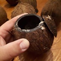 Epoxy-treated coconut