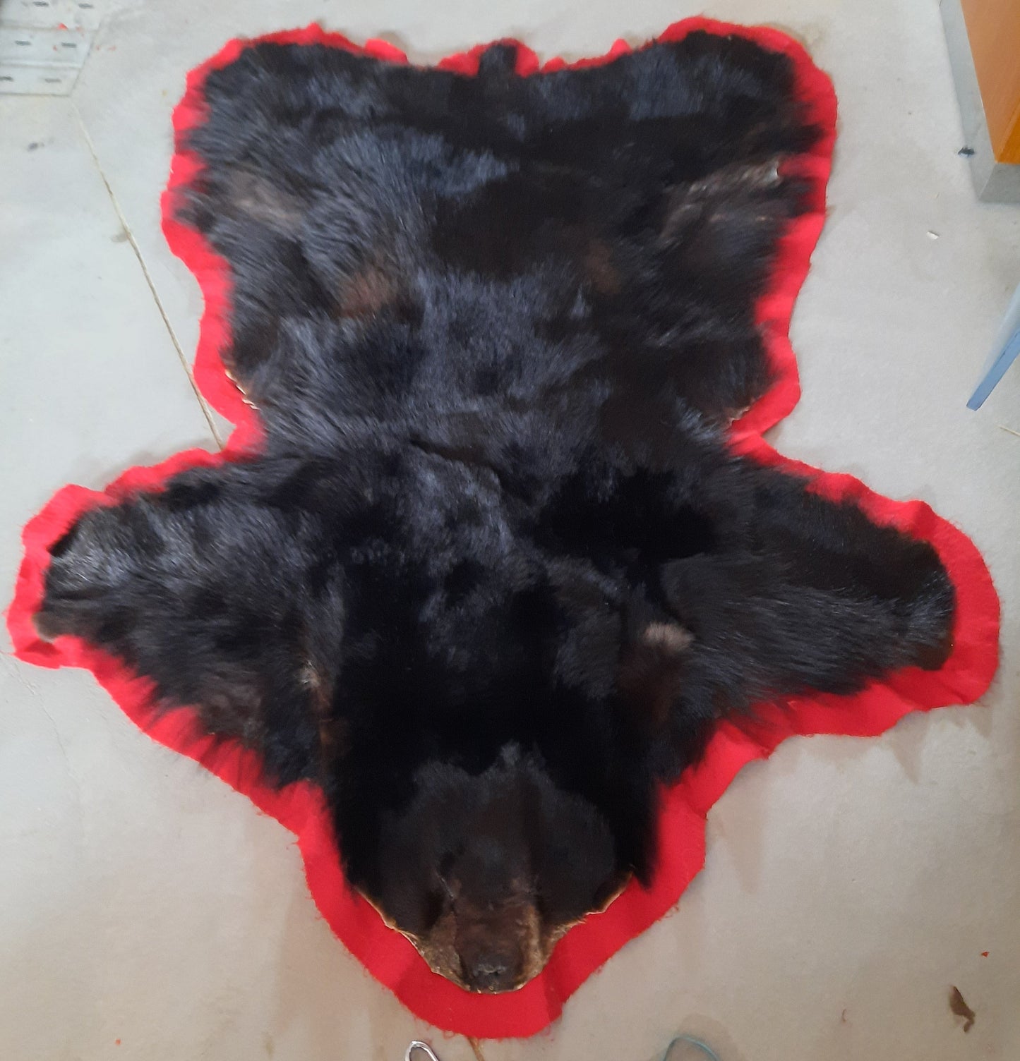 Black Bear Fur Carpet