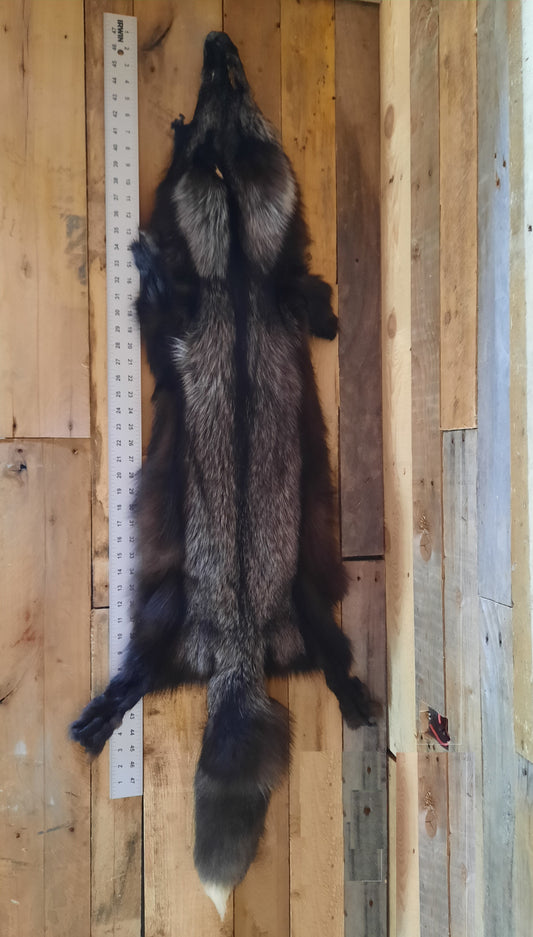 Silver Fox Pelt - Premium quality