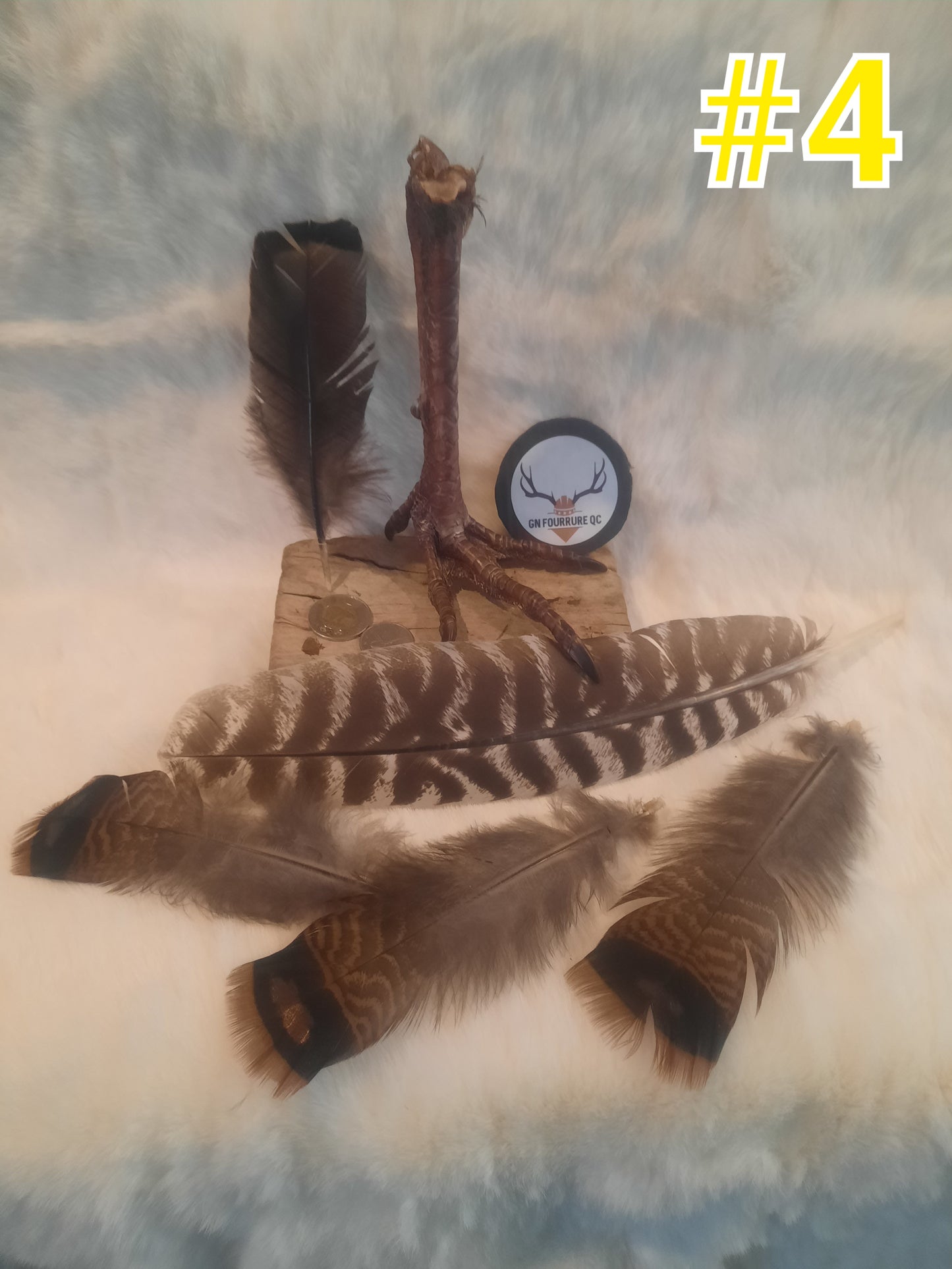 Turkey Leg & Feathers