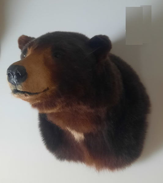 Bear Fur Head - Trophy Mount