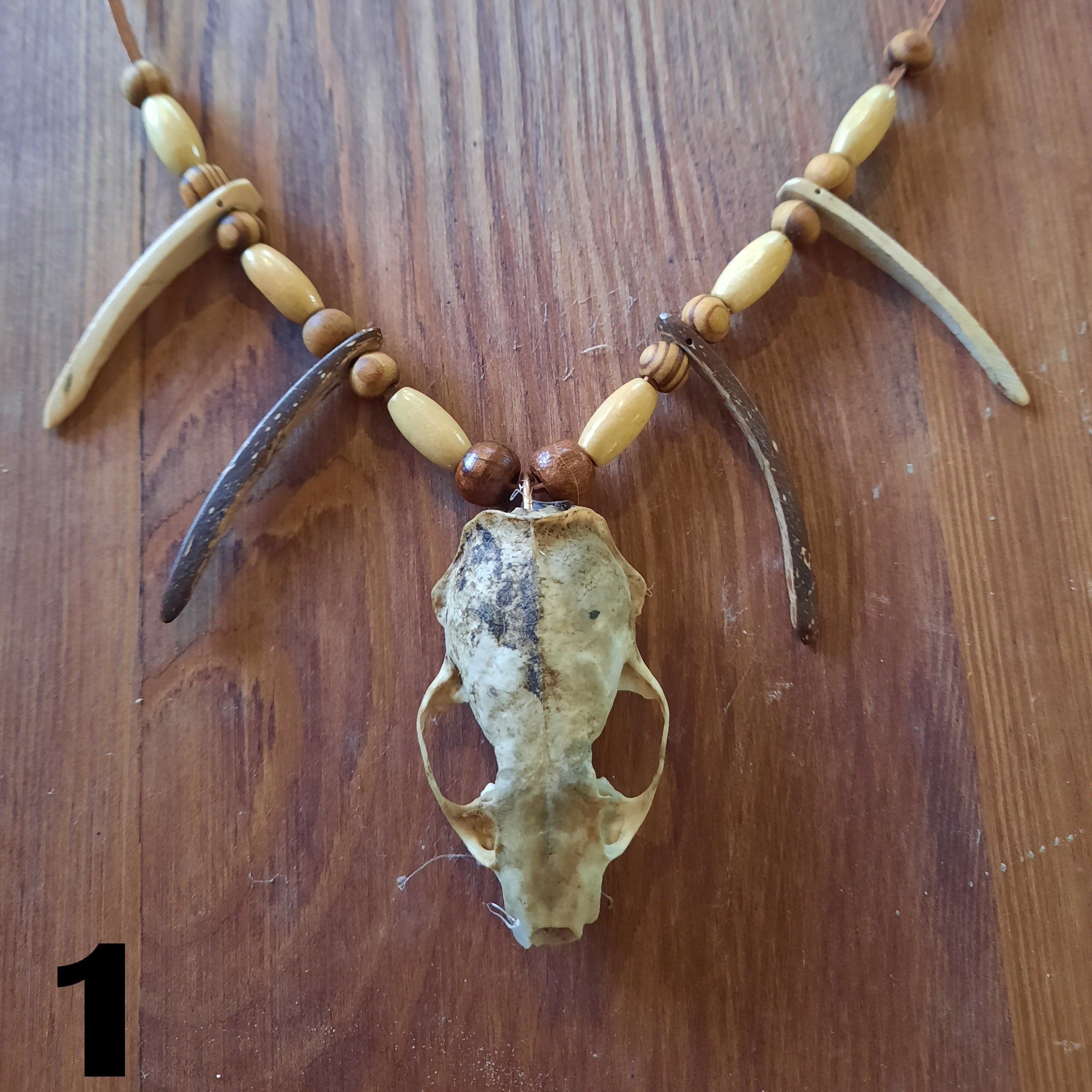 MENDE Mens Stainless Steel Saber Tooth Tiger Fossil Skull Pendant Necklace  | eBay