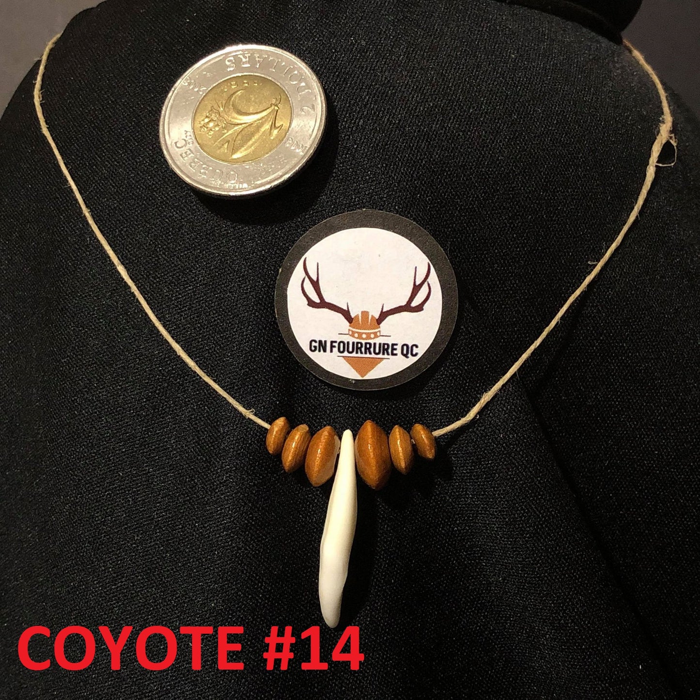 Coyote Tooth Necklace, Adults