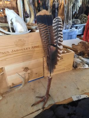 Turkey Leg & Feathers