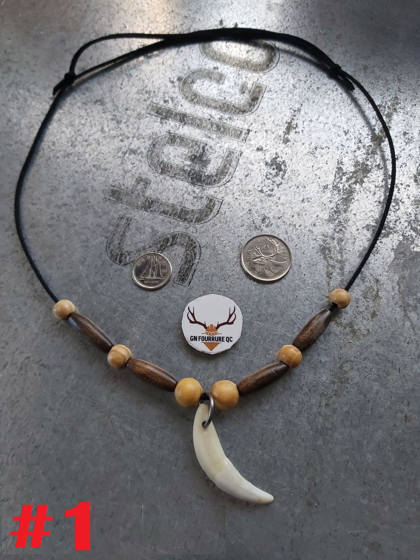 Coyote Fang Necklace