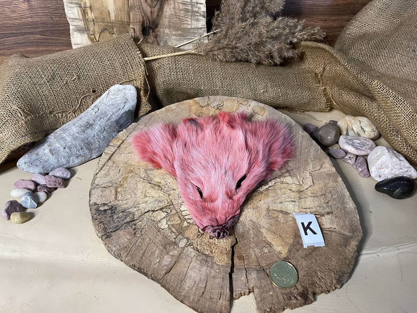 Fox and Raccoon Head Pelts - Dyed