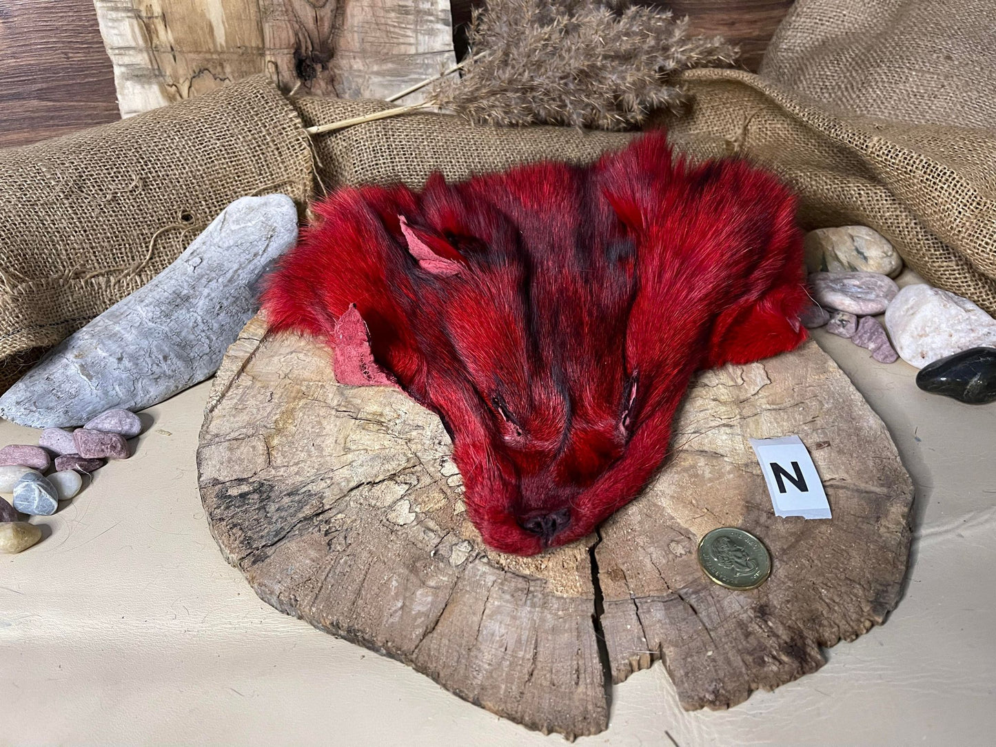 Fox and Raccoon Head Pelts - Dyed