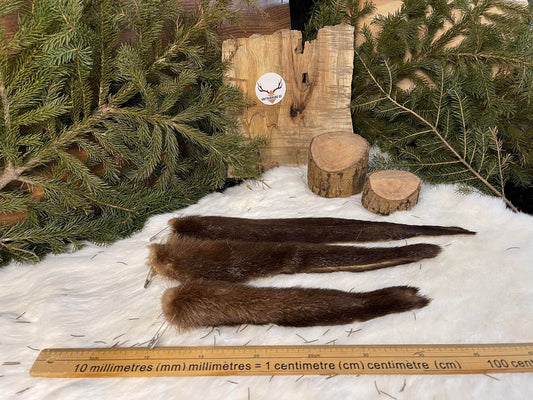 Otter Tail
