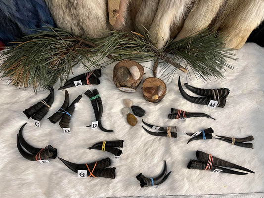 Mountain Goat Horns, Black
