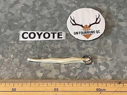 Coyote Baculum Bone KeyChains