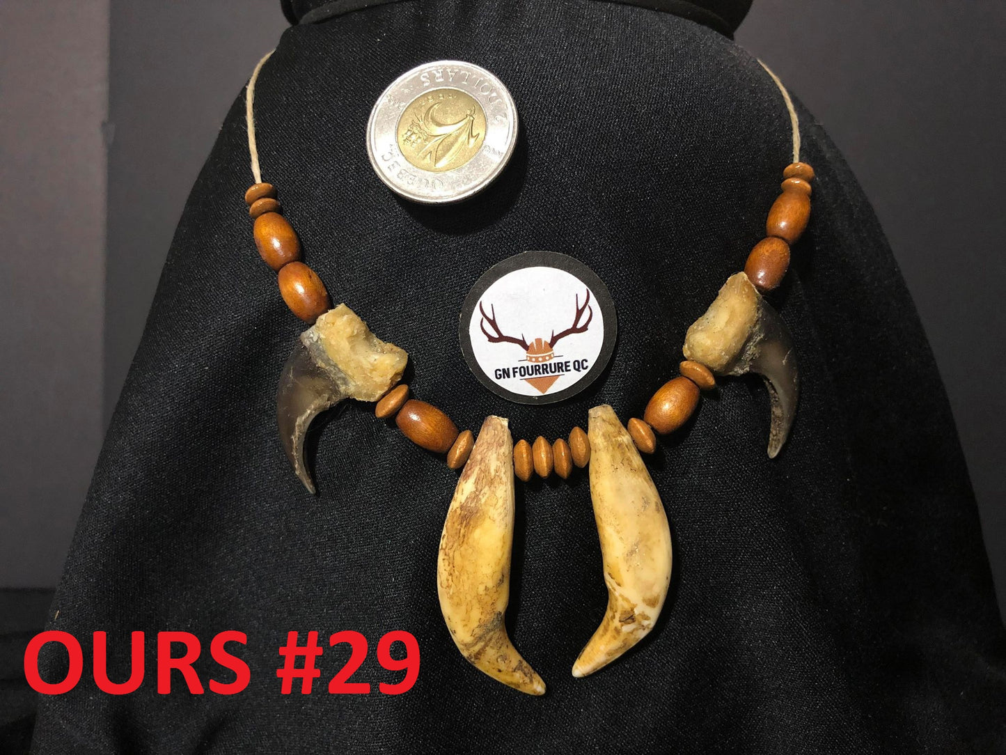 Bear Tooth Necklace, Chieftain