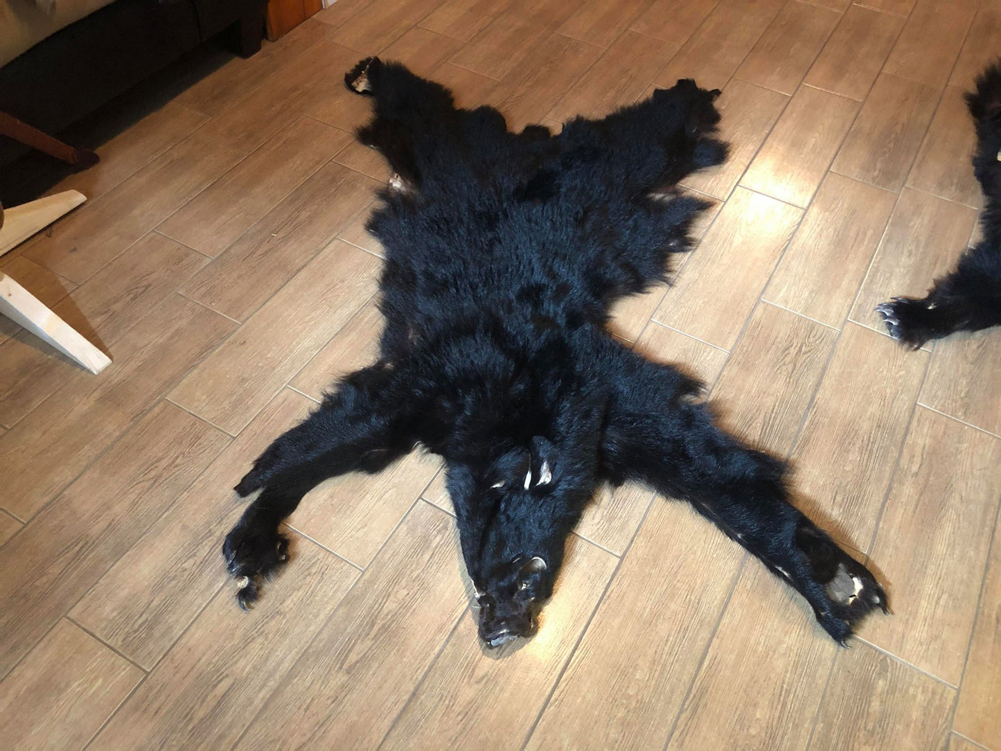 Black Bear Fur Pelts