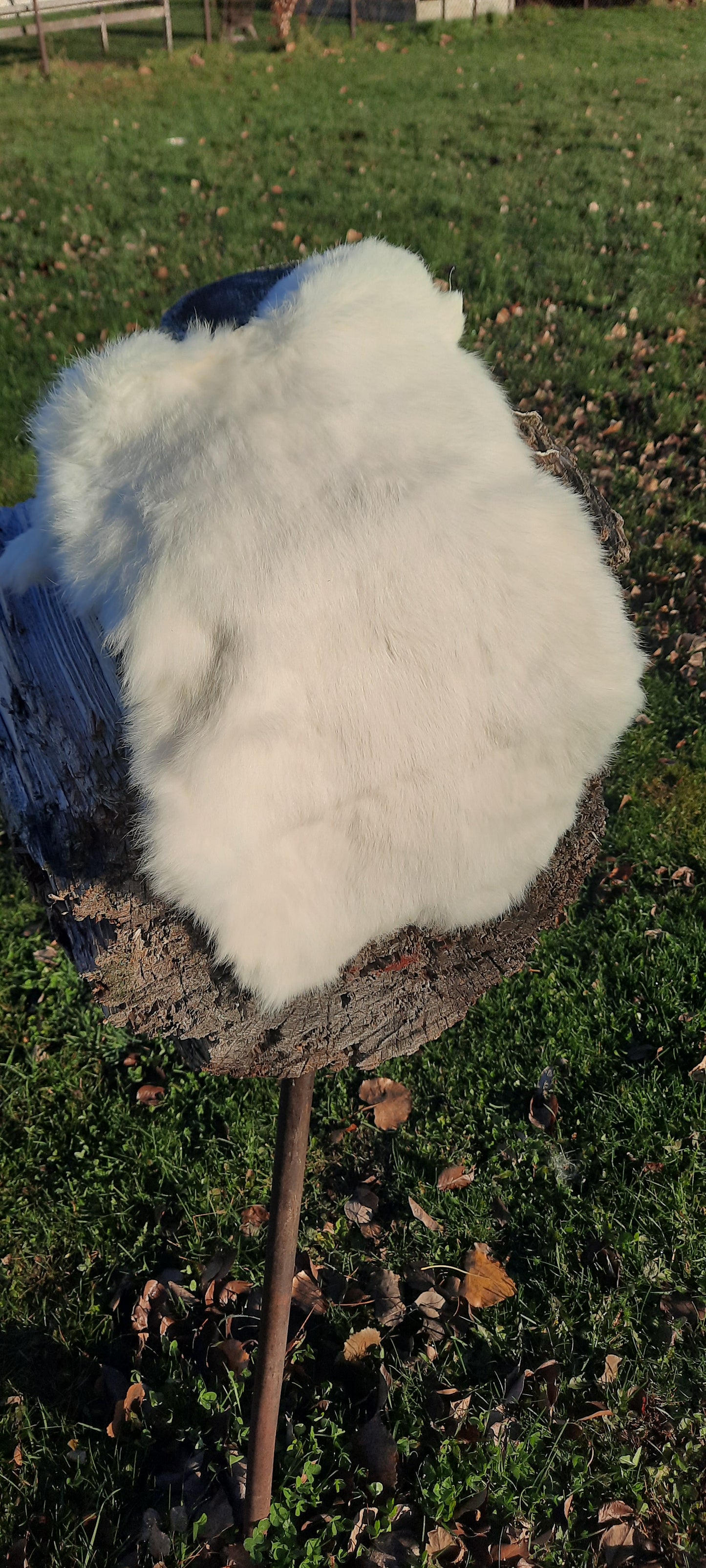 Rabbit Fur - White