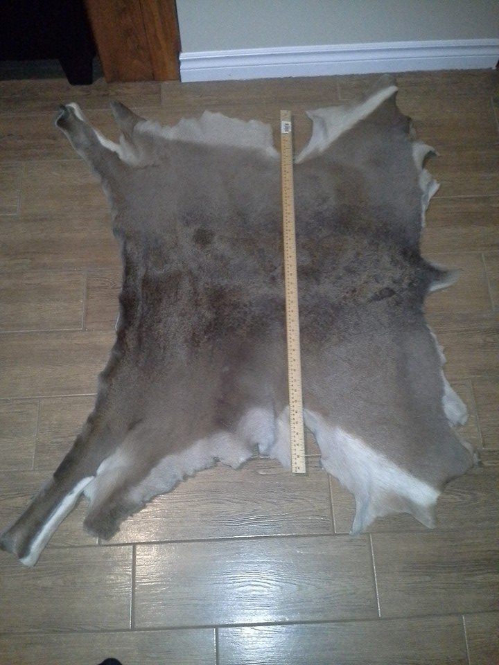 Deer Fur Pelt