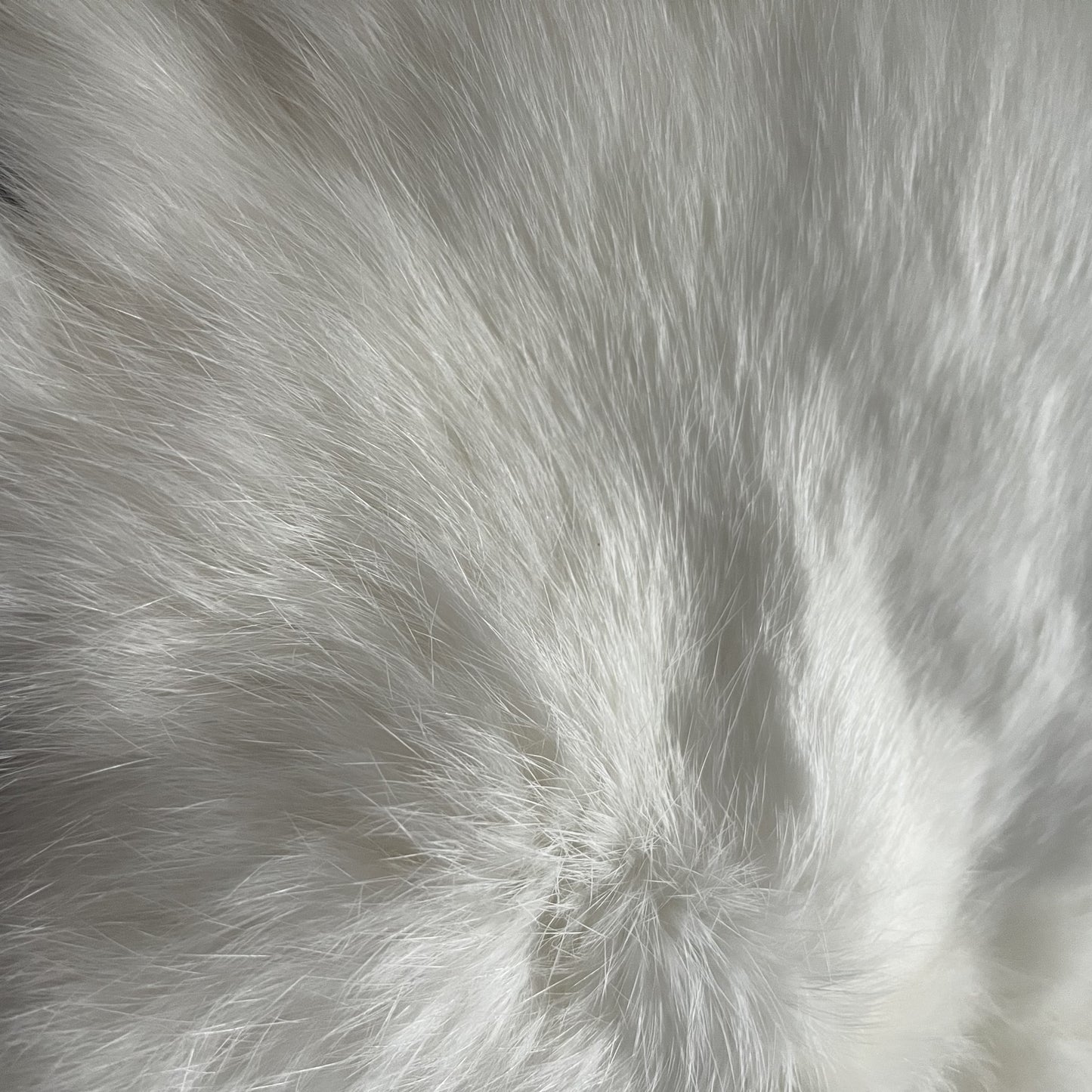 Rabbit Fur - White