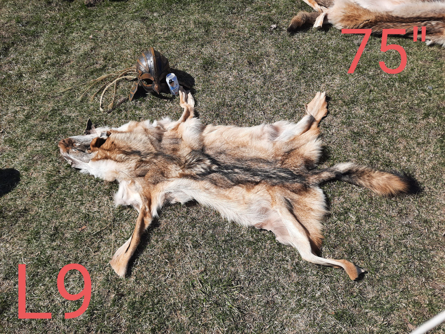 Wolf Fur Pelts, XLarge