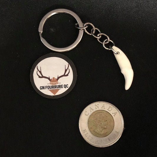 Coyote Canine Tooth Keychain