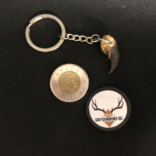 Coyote Claw Keychain