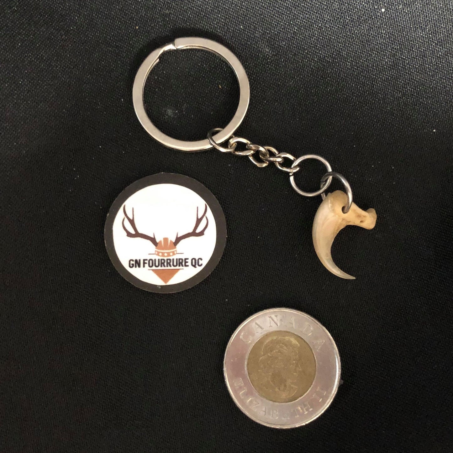 Lynx Claw teeth KeyChains