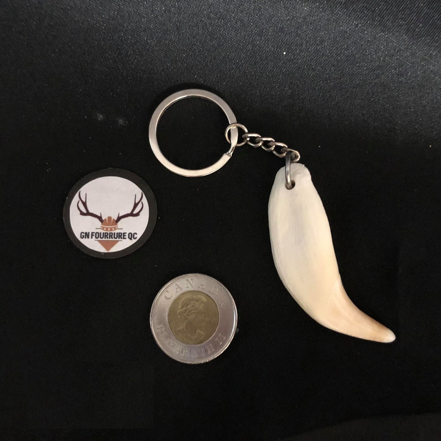 Bear tooth - Keychain